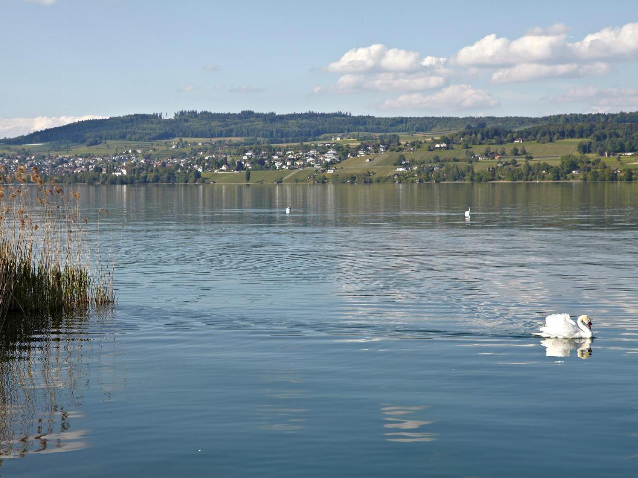 Hotel-Restaurant-Schifflaende Birrwil Luaran gambar